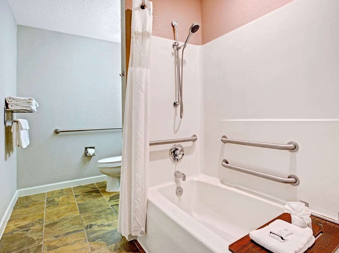 Microtel Inn & Suites by Wyndham Statesville主图