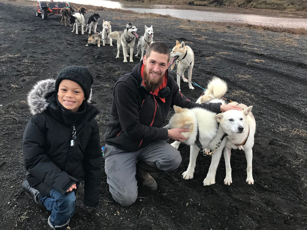 Dogsledding Iceland景点图片
