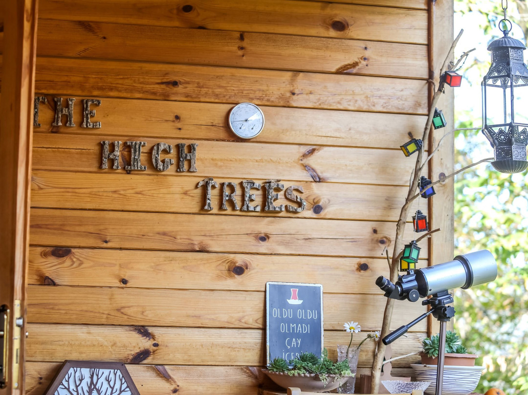 The High Trees主图
