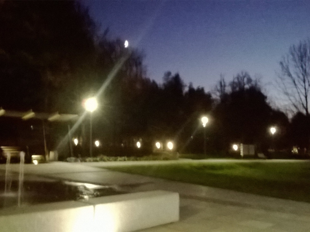 Park Zdrojowy景点图片