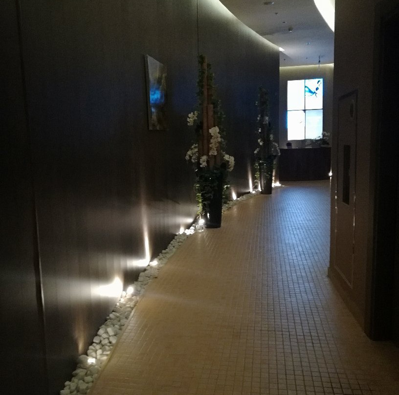 Opolzneve旅游景点-Spa Center Mriya Resort & Spa