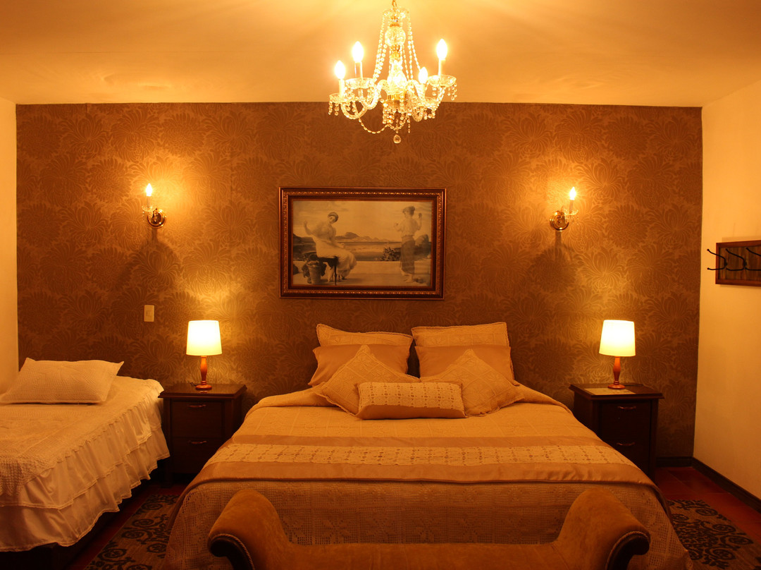 Aranzazu酒店住宿-Casa Lola Hotel Boutique