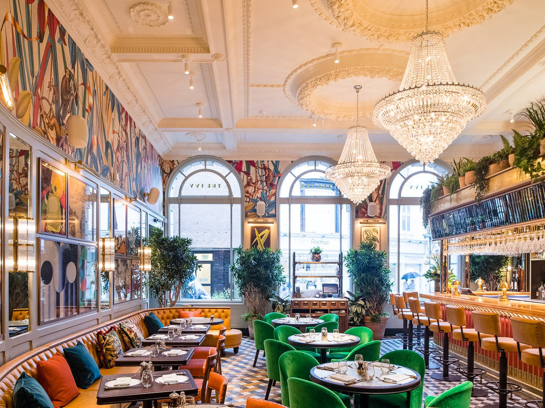 The Ivy Norwich Brasserie