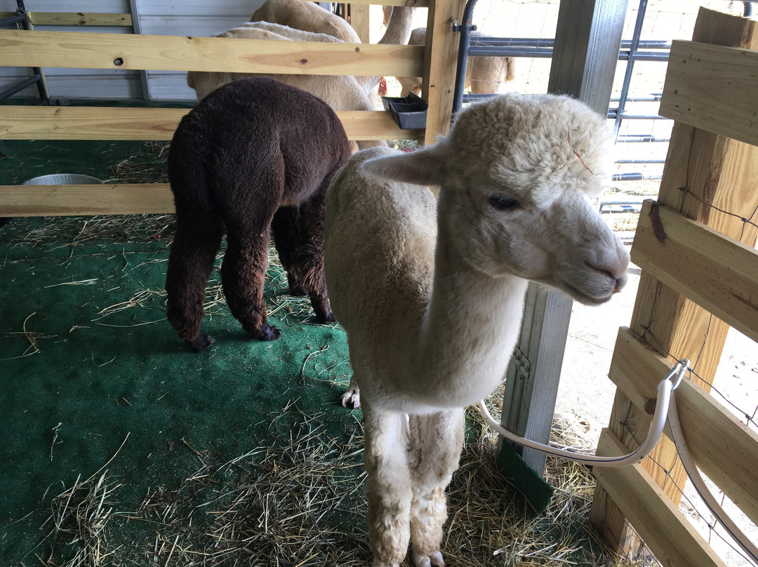 Shaw Farms-纽南必去景点