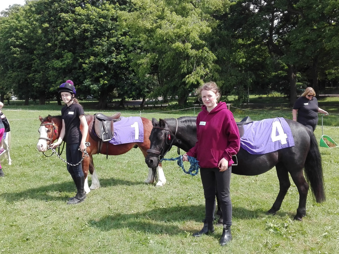 Burnby Equestrian Centre-Pocklington必去景点