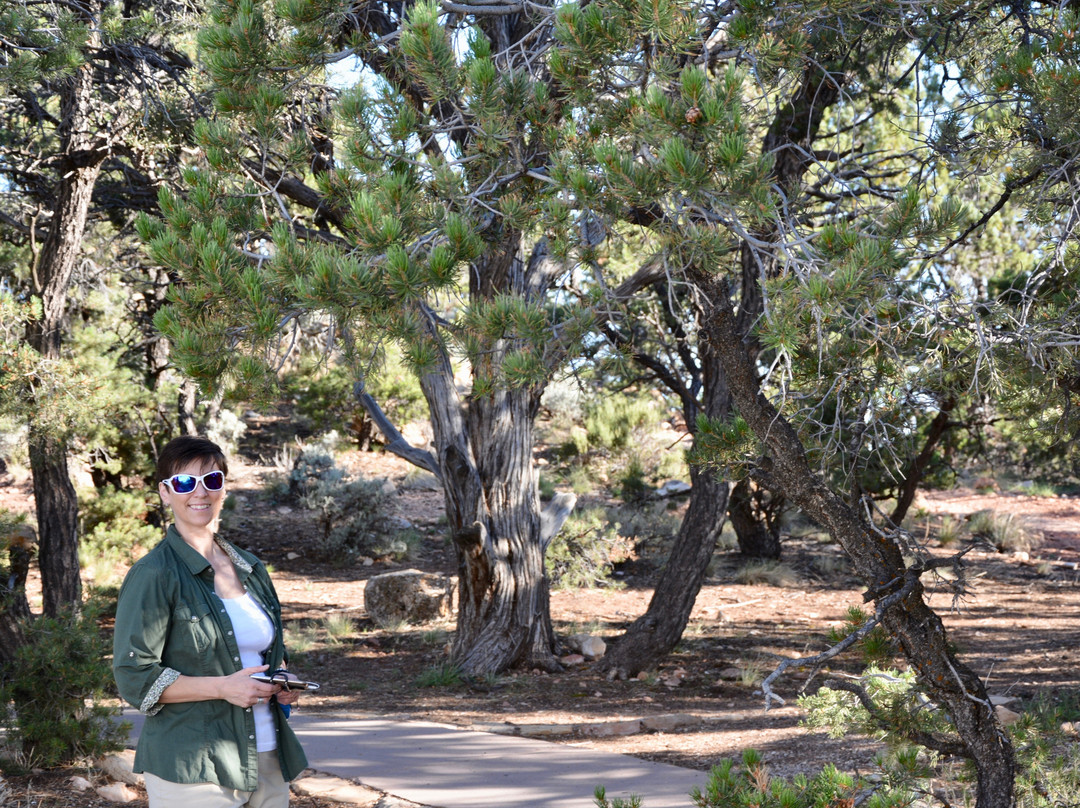 Le Fevre Overlook-Fredonia必去景点