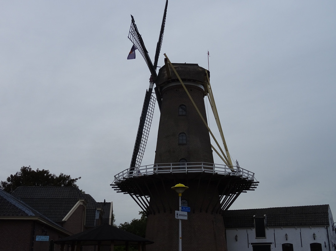 Molen "De Hoop"景点图片