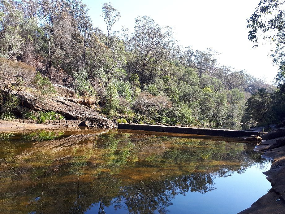 Ingleburn Reserve景点图片