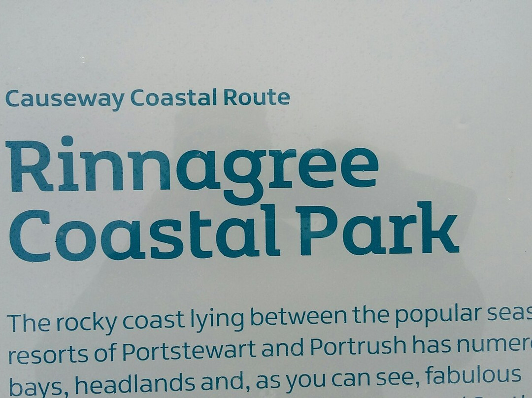 Rinnagree Coastal Park景点图片