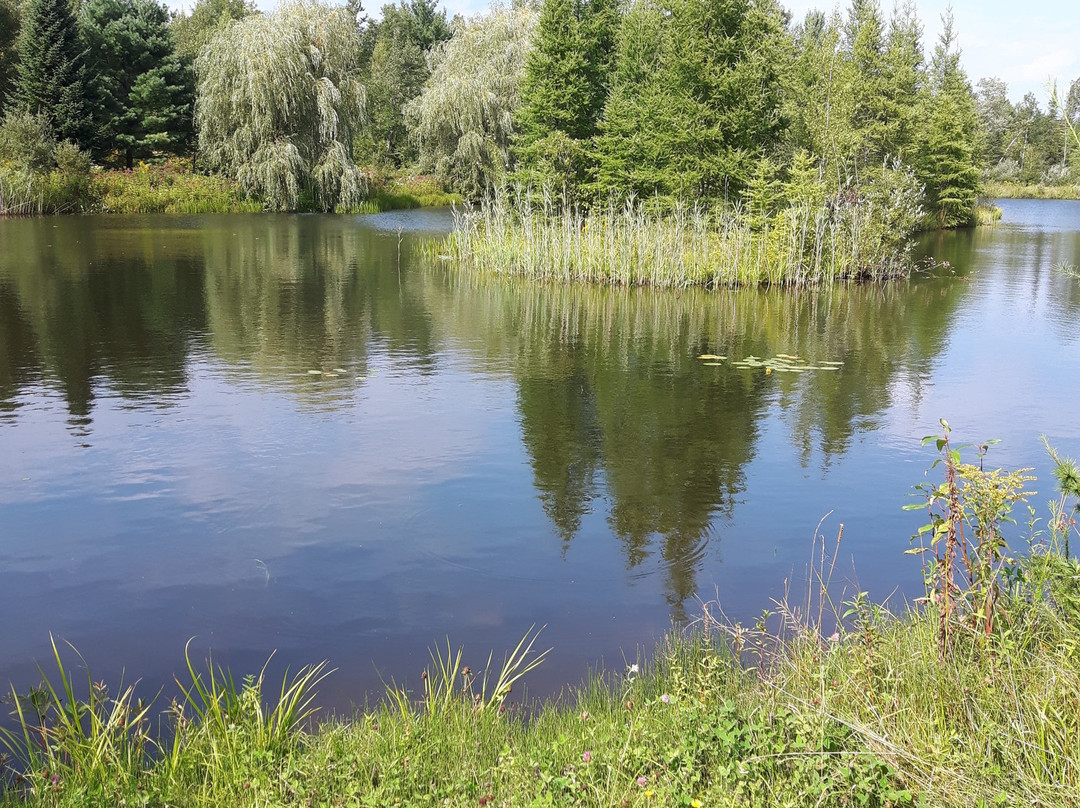 Domaine Jolivent主图