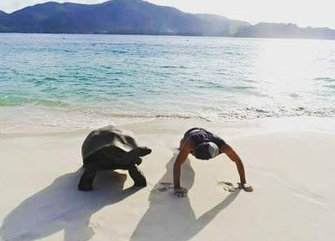 ABx Transfer Service-西班牙港必去景点