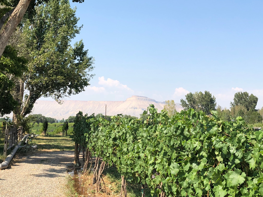 Mesa Park Fruit Co.-Palisade必去景点