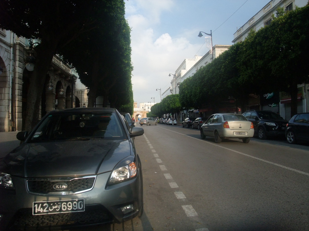 Avenue de Paris-突尼斯必去景点
