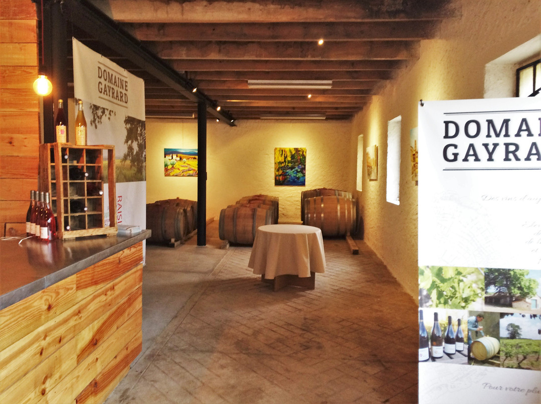 Domaine de Gayrard景点图片