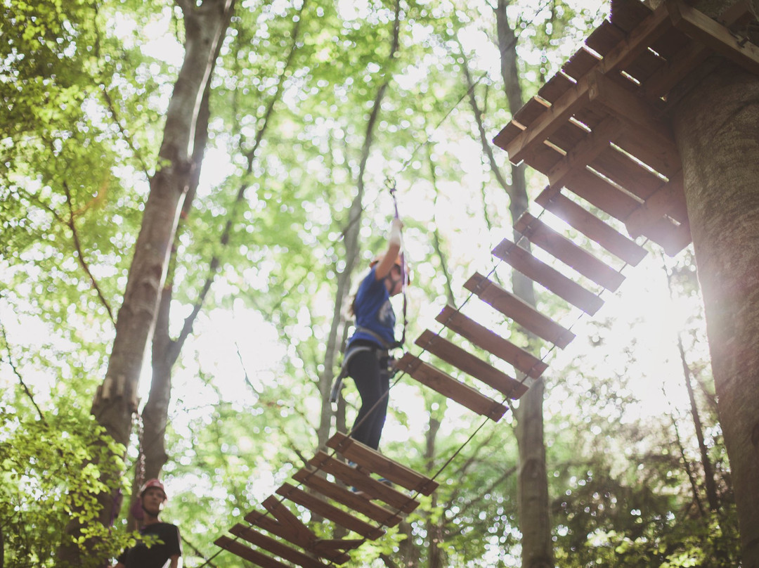 Omberg Zipline-Odeshog必去景点