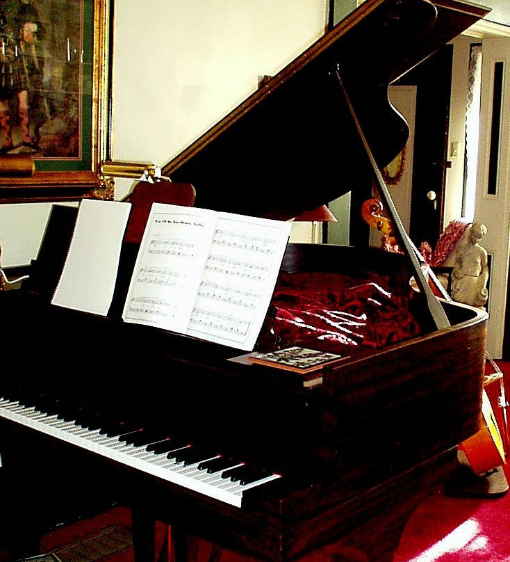 The Chaney Manor Bed and Breakfast Inn主图