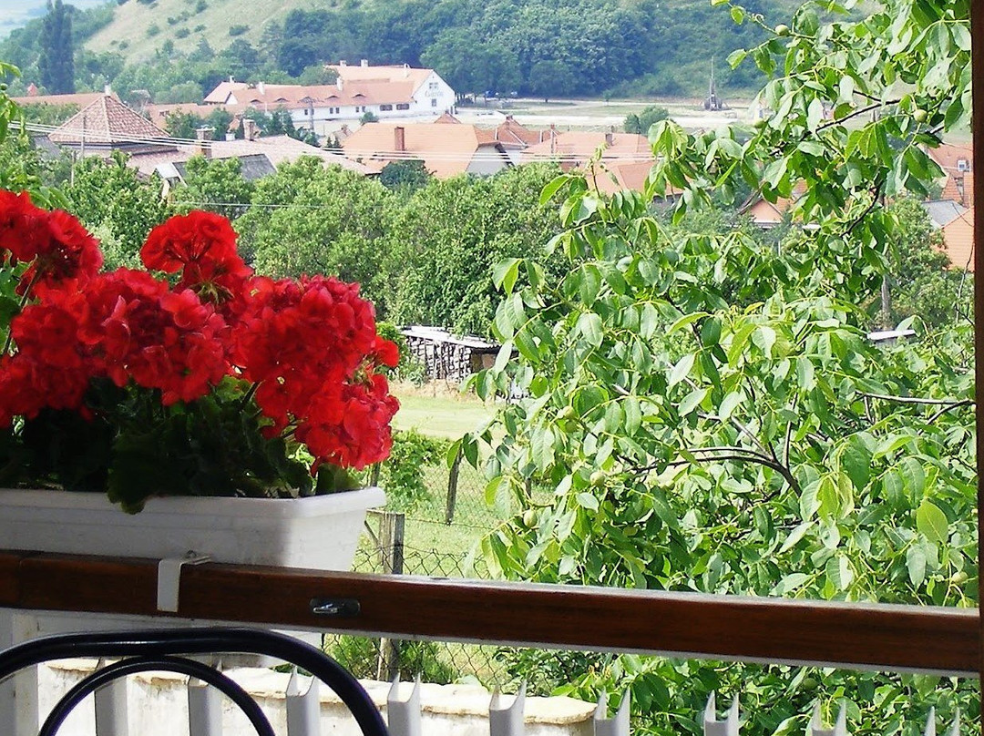 Oreghegy Hotel