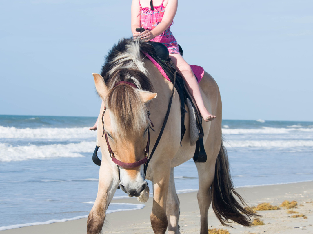 Hatteras Island Horseback Riding景点图片