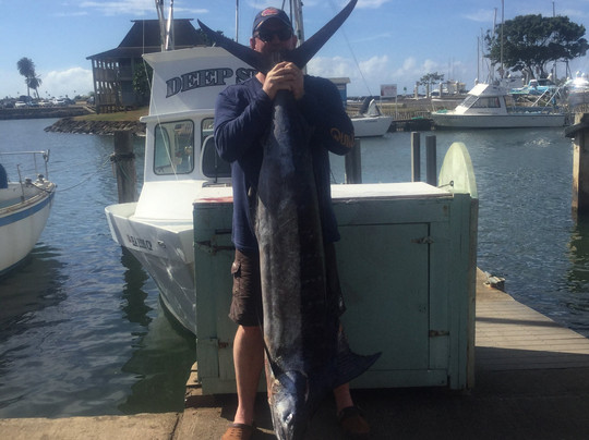 Deep Sea Sportfishing Hawaii-哈雷瓦必去景点