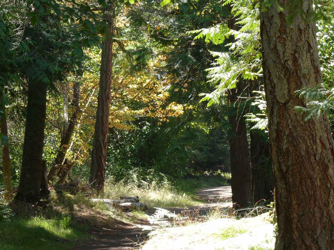 Sidney Spit Marine Park景点图片