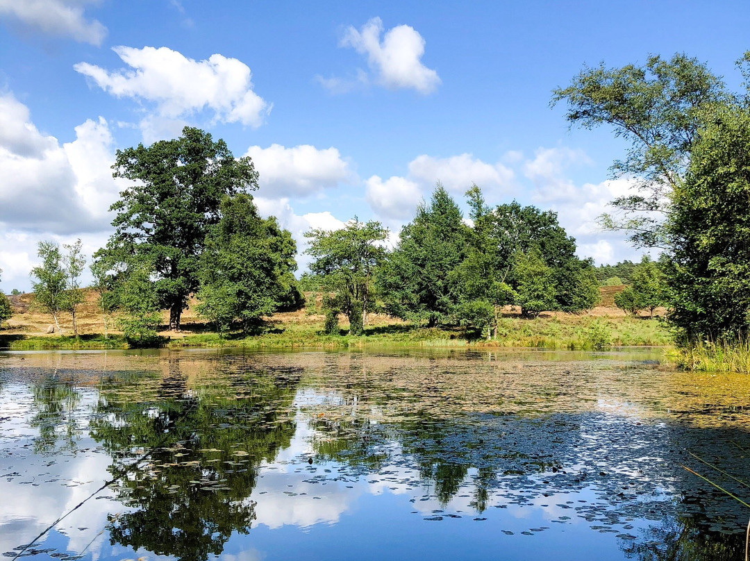 Naturpark Lüeneburger Heide-Egestorf必去景点