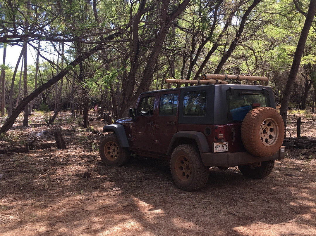 Lanai Jeep Rentals景点图片