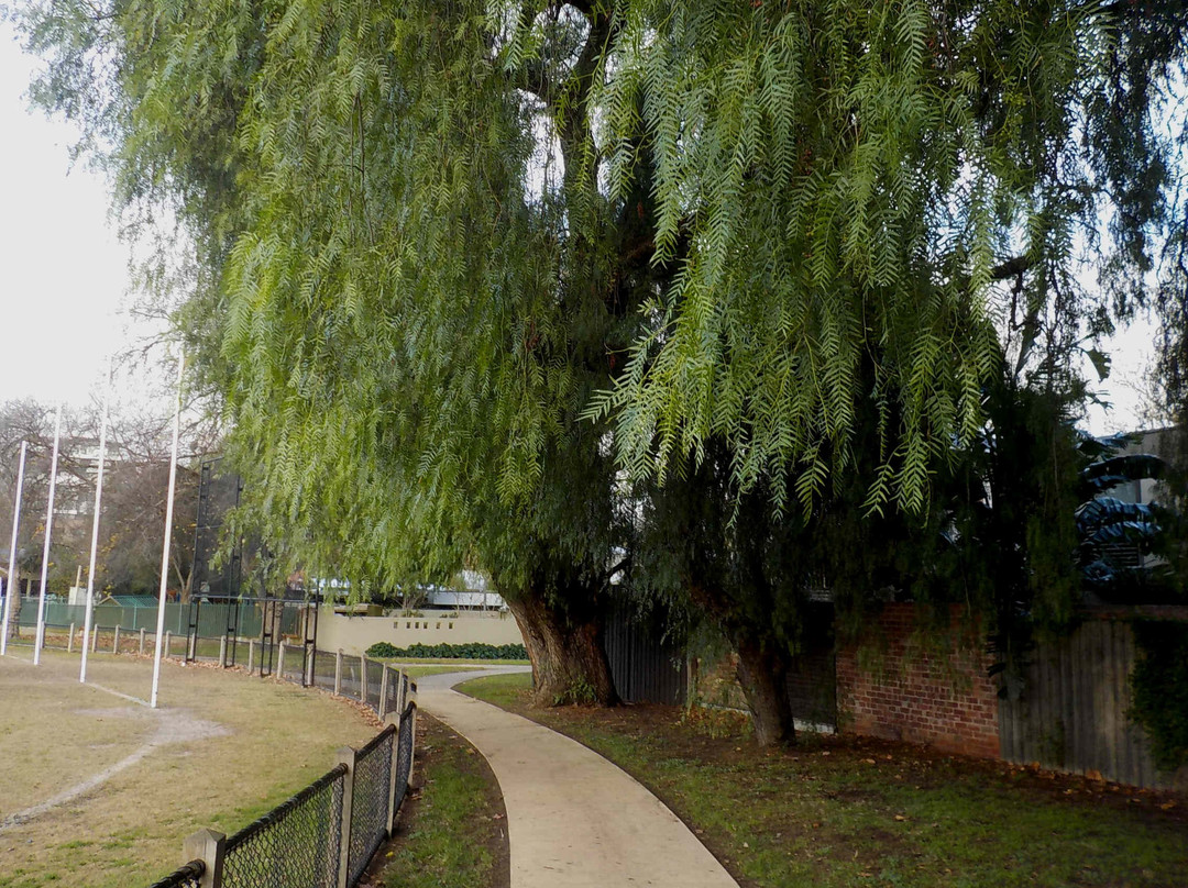 Boroondara旅游攻略图片