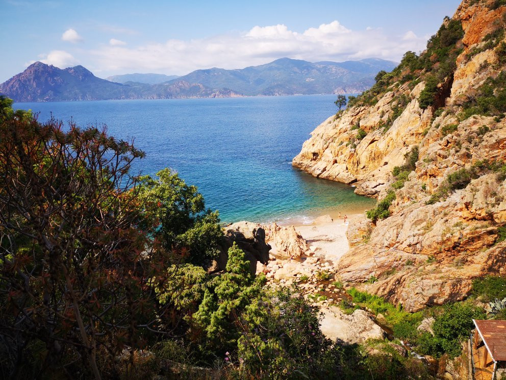Plage de Ficajola景点图片