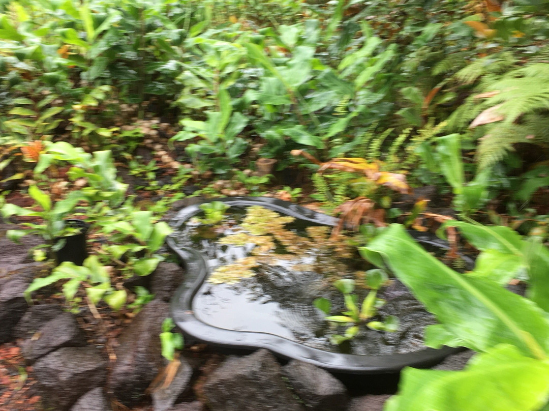 阿里凯恩小屋豪华一卧室套房公寓主图