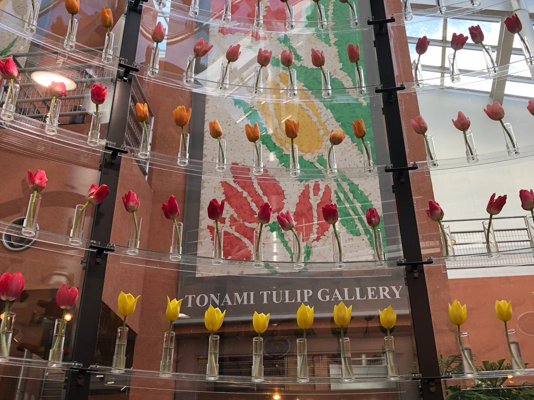 Tonami Tulip Gallery景点图片