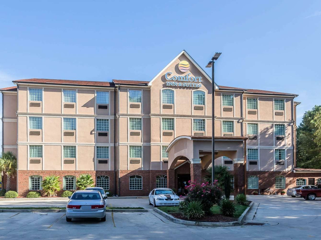 Comfort Inn & Suites主图