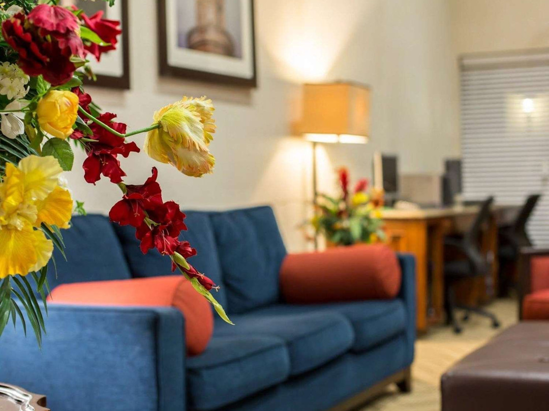 Comfort Suites Cumming-Atlanta Near Northside Hospital Forsyth主图