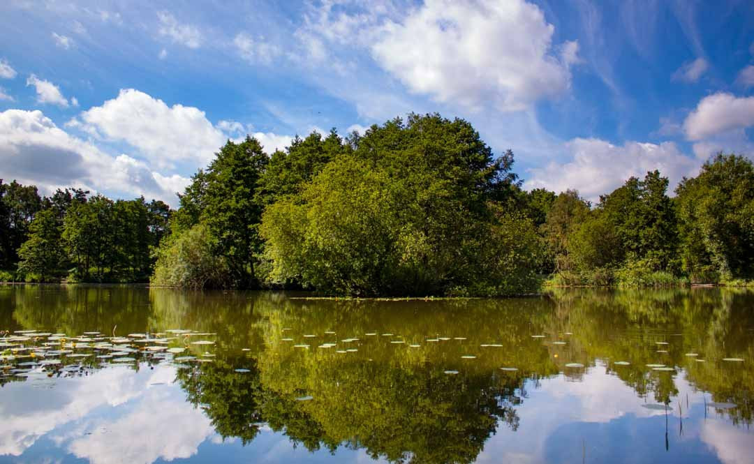 Cobbleacre Lakes