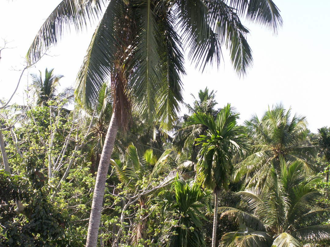 Dhammika Magic Palace主图