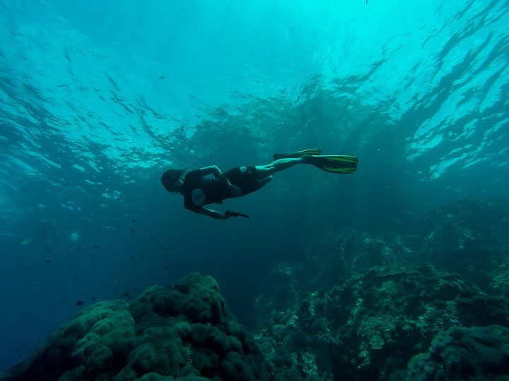 Apnea Koh Phangan Freediving School-帕岸岛必去景点