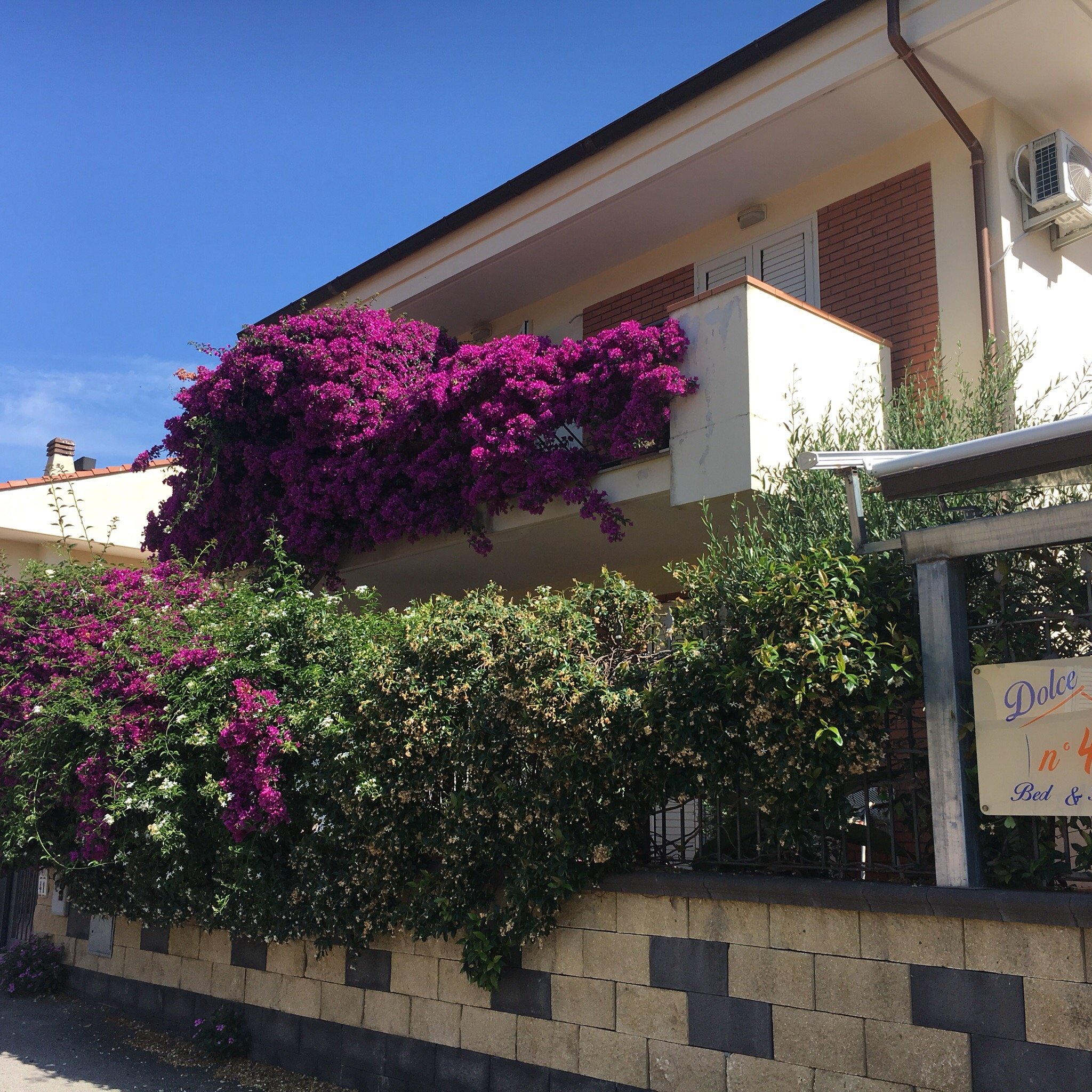 Dolce Casa n 41-官方