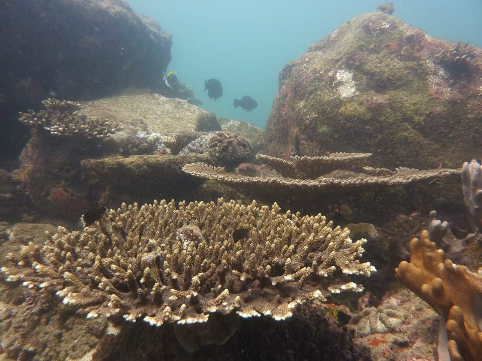 Scuba Lanka-Uppuveli必去景点