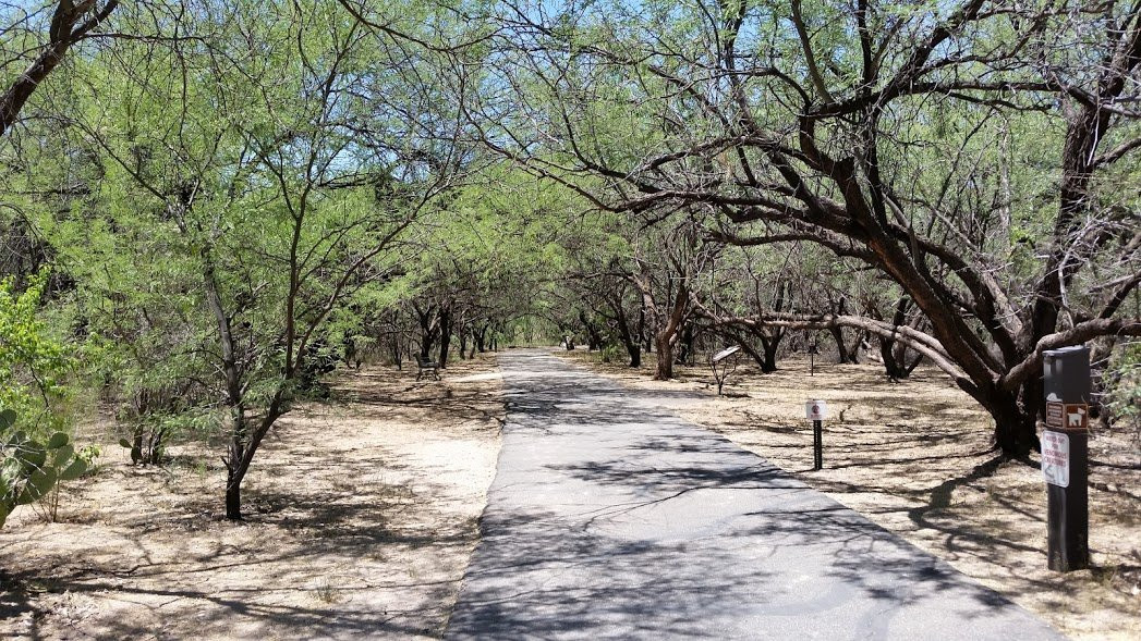 Agua Caliente Park景点图片