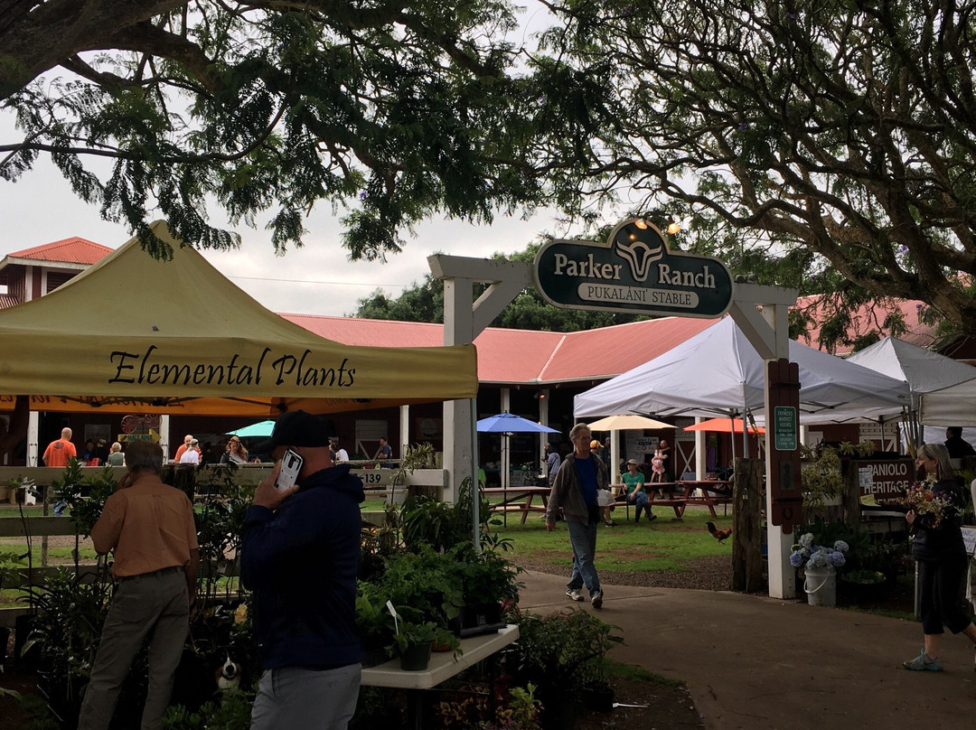 Kamuela Farmers Market-卡慕也拉必去景点