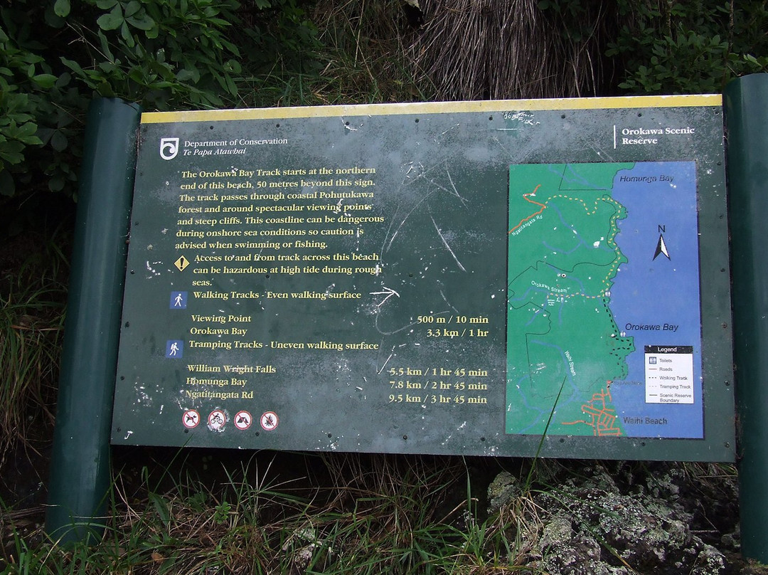 Orokawa Scenic Reserve景点图片