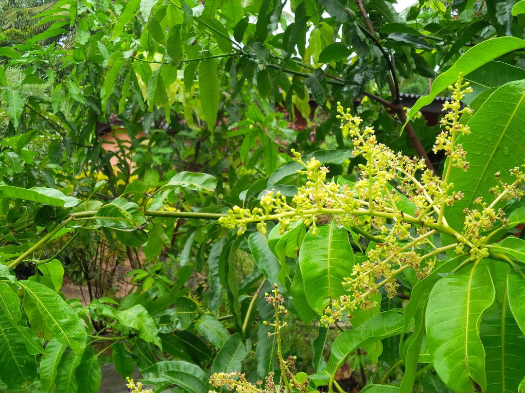 Dad's Holiday Home主图