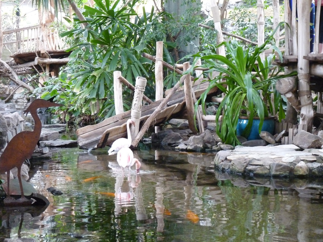 Domaine De Vossemeren Center Parcs主图