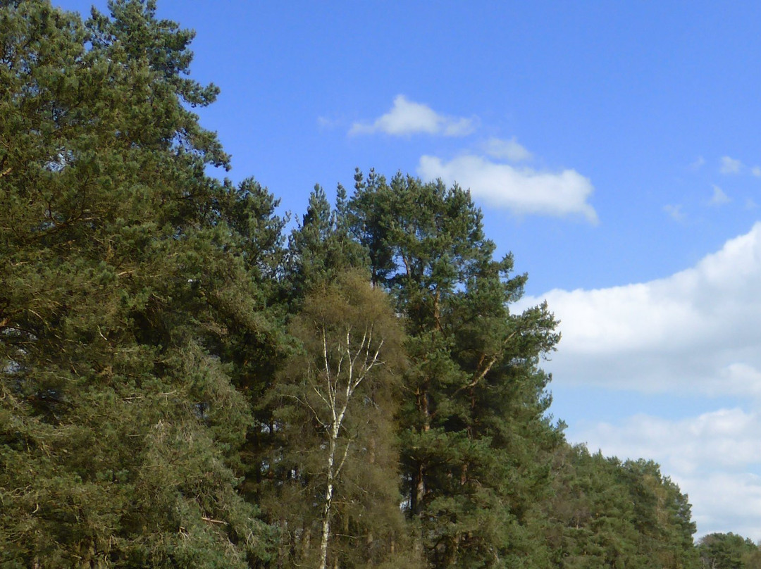 Blairgowrie Golf Club-Blairgowrie必去景点