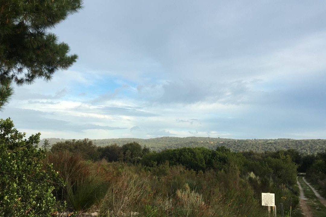 Reflections Eco Reserve主图