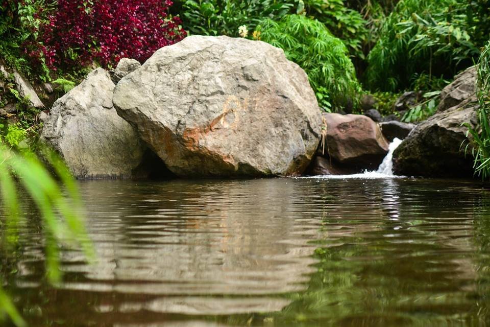 Rafjam's Bed & Breakfast-官方