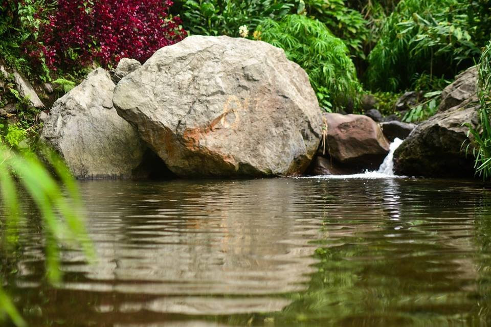 Rafjam's Bed & Breakfast主图