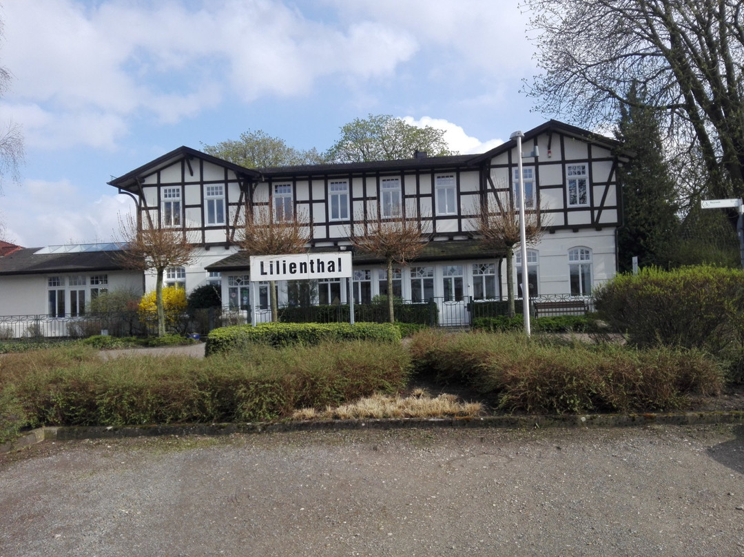 Lilienthal旅游攻略图片