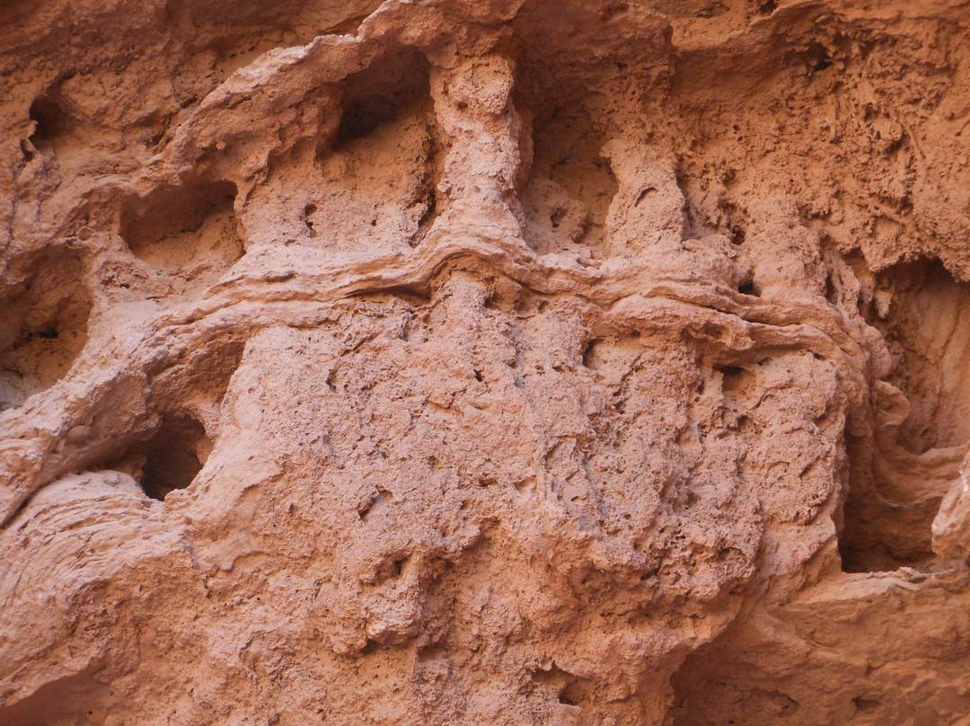 The Caves of Messalit-Tata必去景点