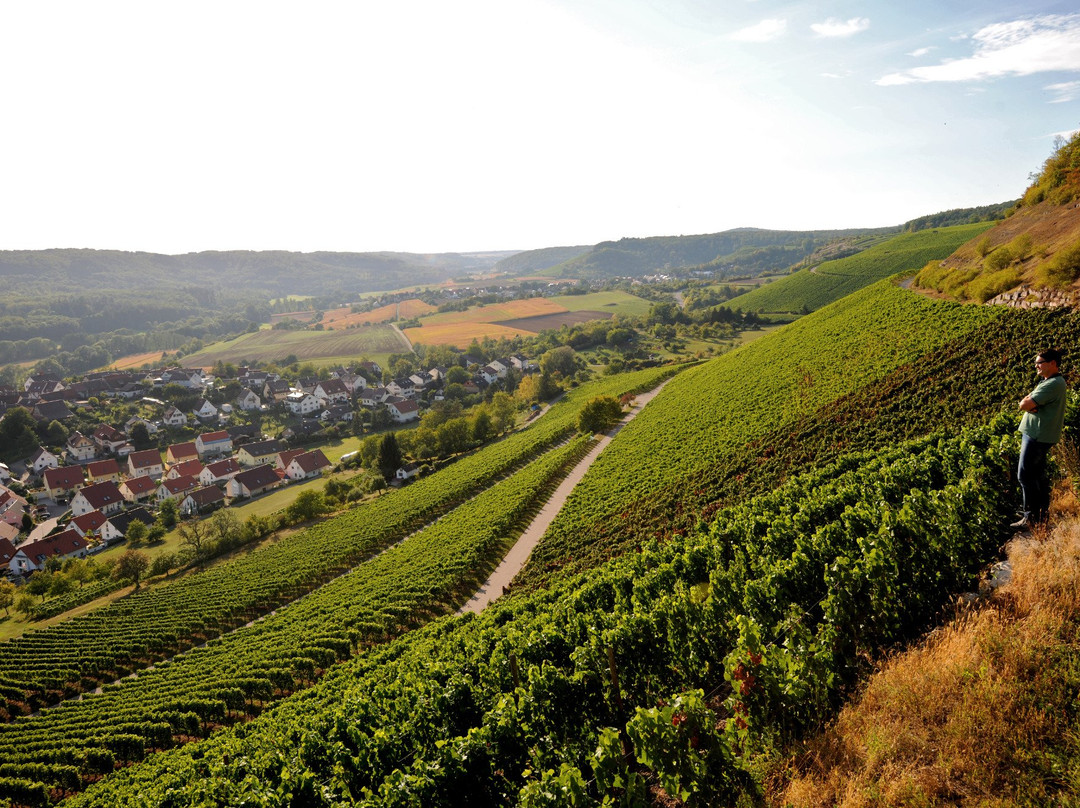 Weingut Sonnenhof景点图片