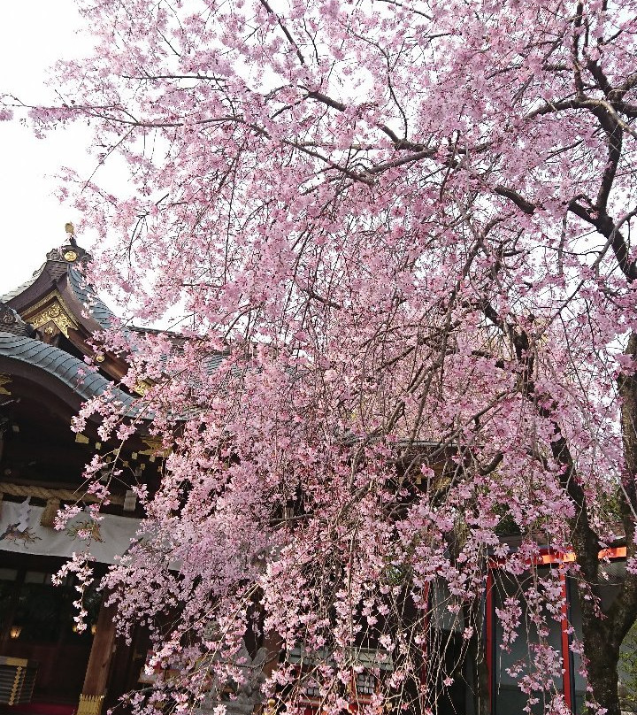 Suzuka Shrine景点图片